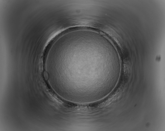 X0000098191069200804241239