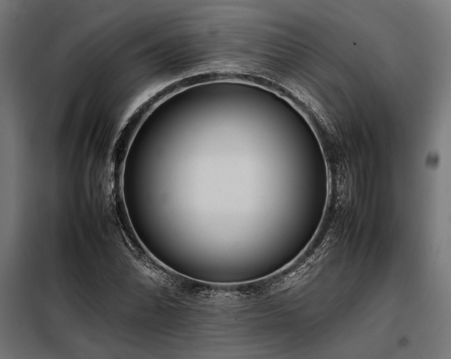X0000098191070200804241239