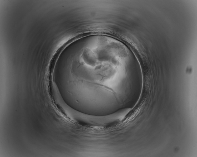 X0000098191071200804241239