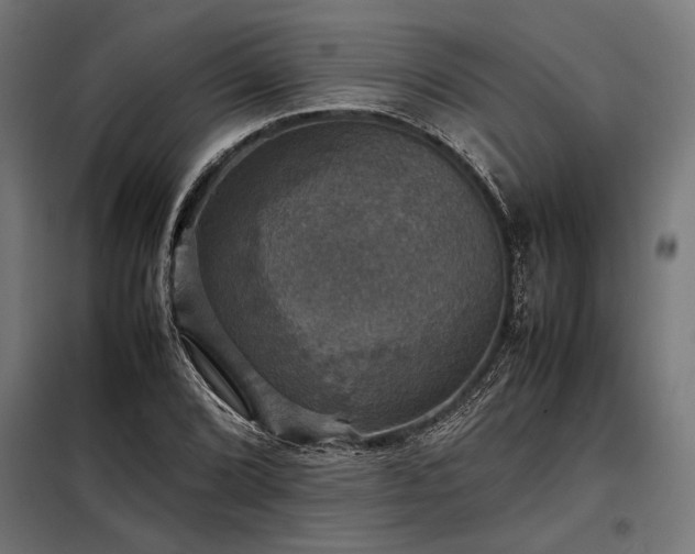 X0000098191072200804241239