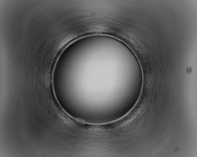 X0000098191073200804241239