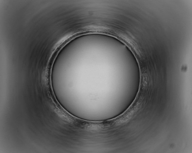 X0000098191074200804241239
