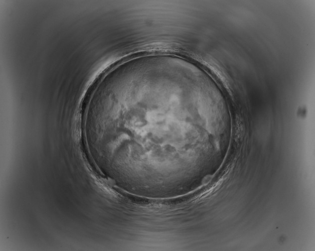 X0000098191075200804241239