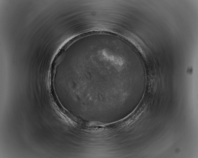 X0000098191076200804241239