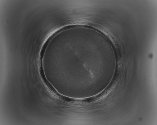 X0000098191077200804241239
