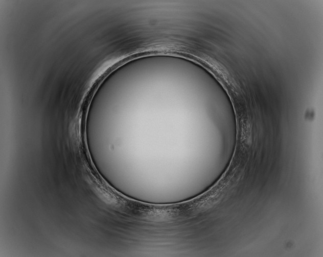 X0000098191078200804241239