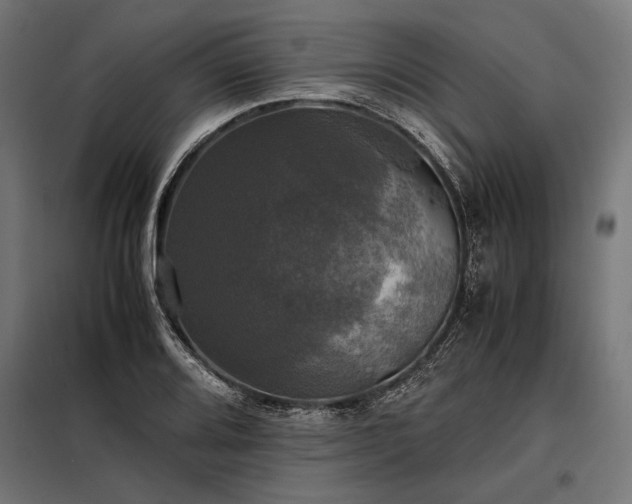 X0000098191080200804241239