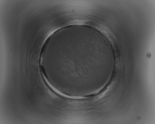 X0000098191081200804241239