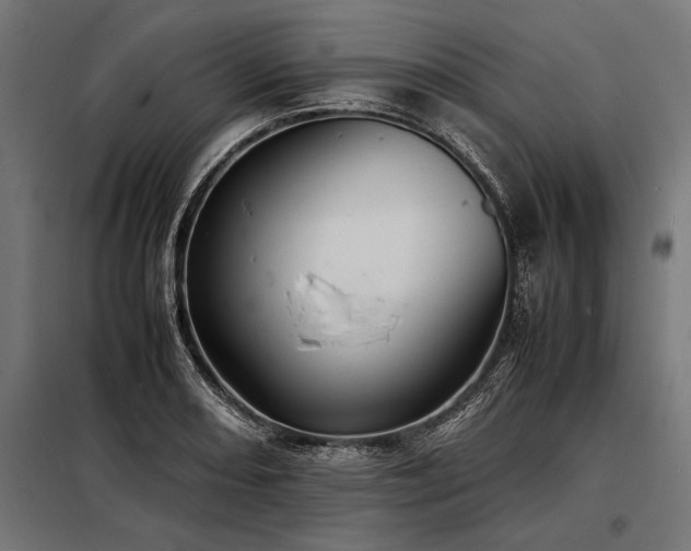 X0000098191082200804241239