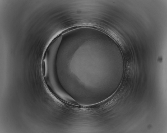 X0000098191084200804241239