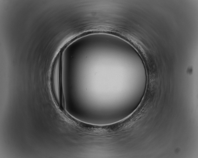 X0000098191085200804241239