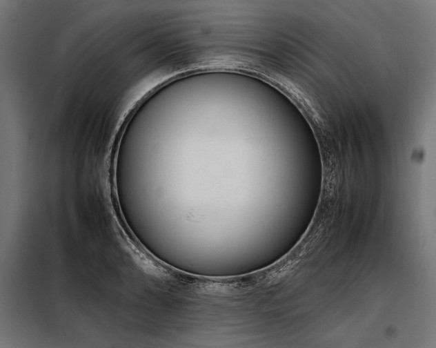 X0000098191086200804241239