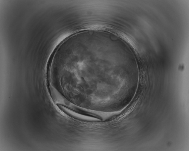 X0000098191087200804241239