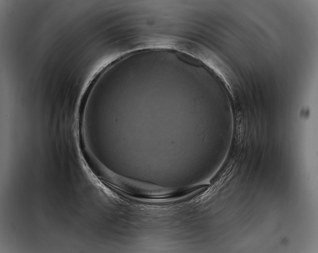 X0000098191088200804241239