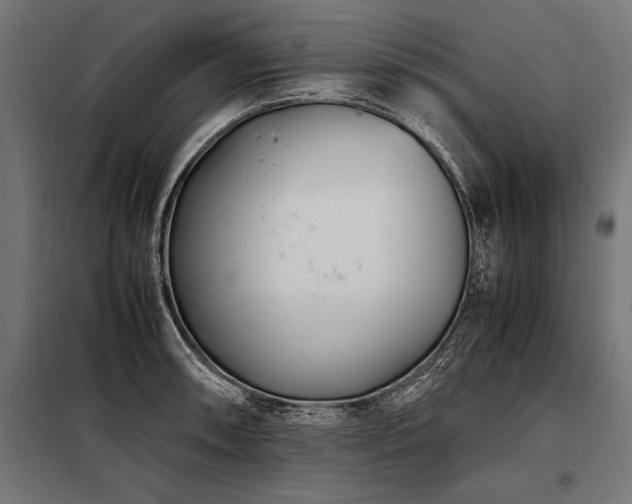 X0000098191090200804241239