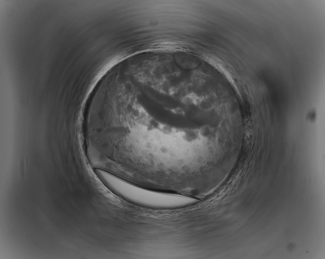 X0000098191091200804241239