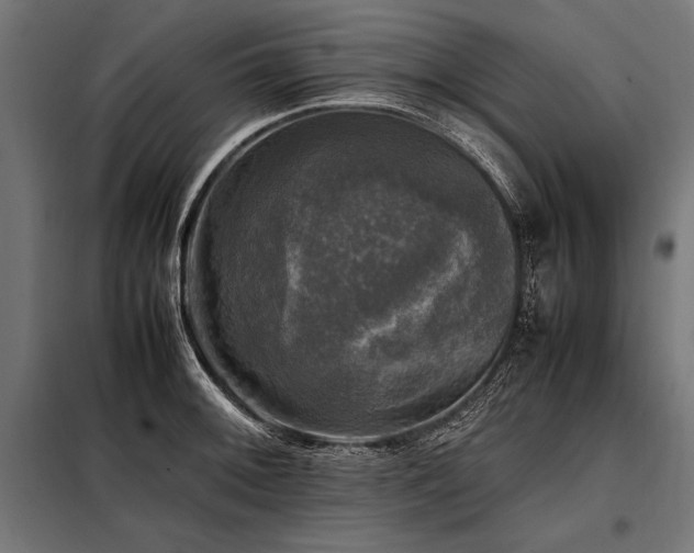 X0000098191092200804241239