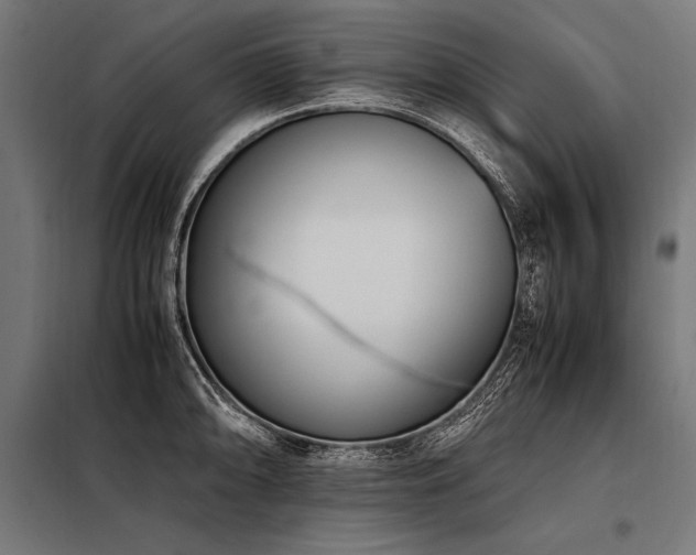 X0000098191094200804241239
