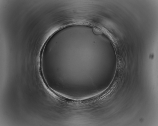 X0000098191095200804241239