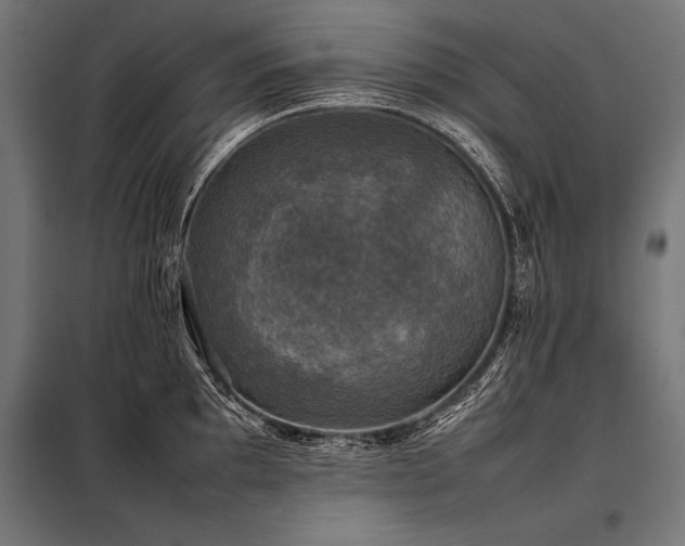 X0000098191097200804241238