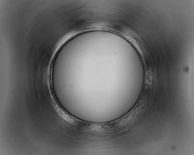 X0000098191098200804241238