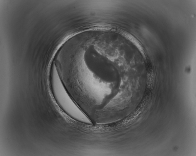 X0000098191099200804241238