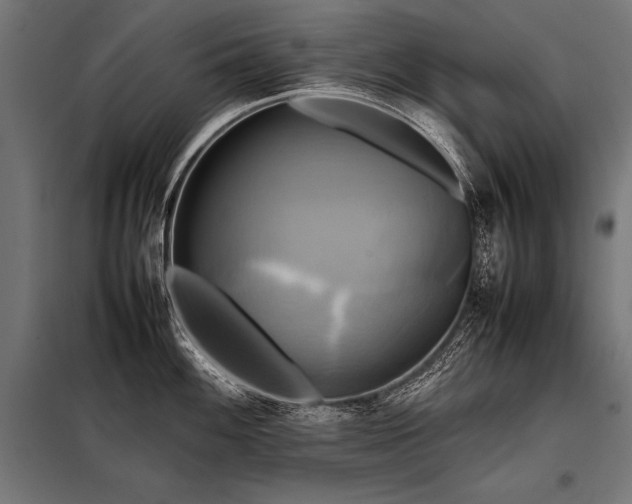 X0000098191100200804241238