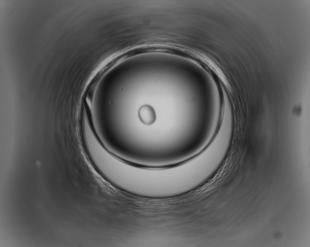 X0000098191101200804241238
