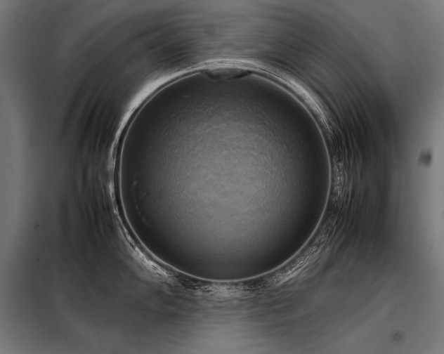 X0000098191102200804241238