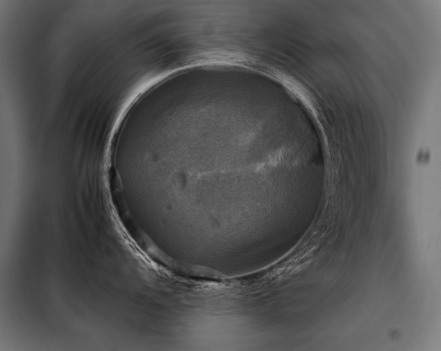 X0000098191104200804241238