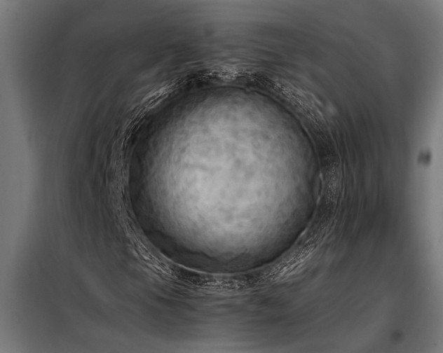 X0000098191105200804241238