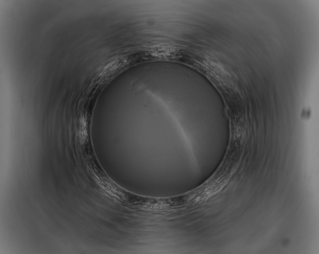 X0000098191106200804241238