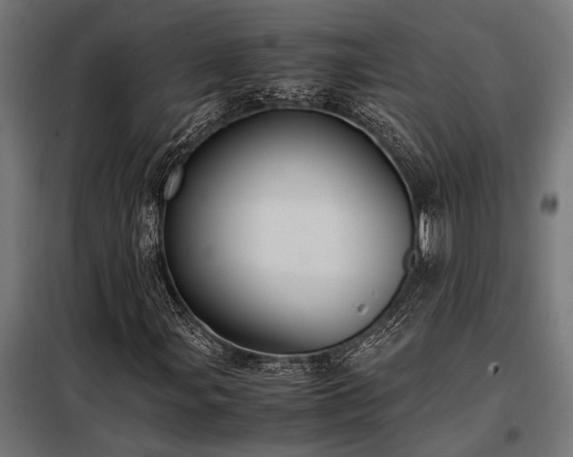 X0000098191107200804241238