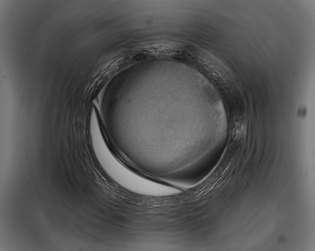X0000098191108200804241238