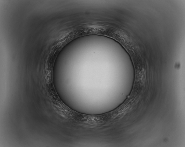 X0000098191109200804241238