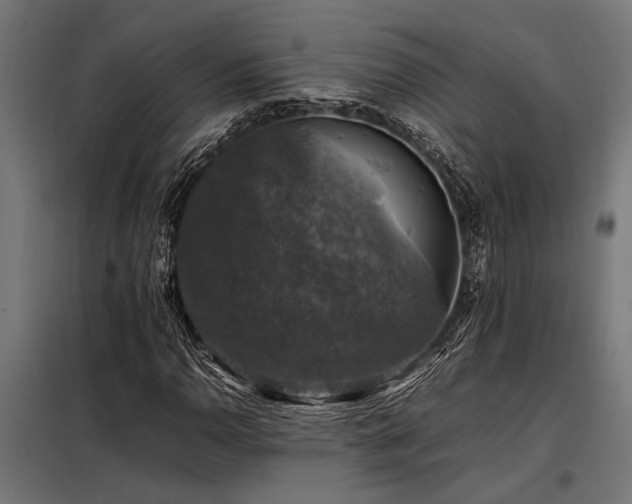 X0000098191110200804241238