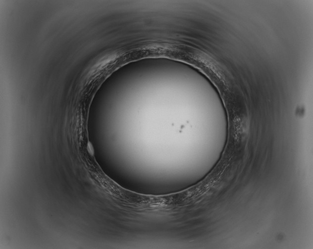 X0000098191111200804241238