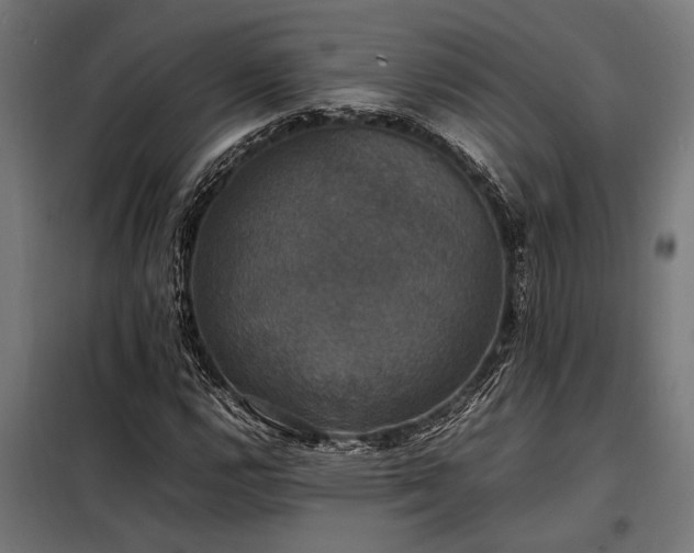X0000098191112200804241238