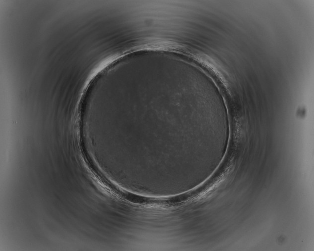 X0000098191114200804241238