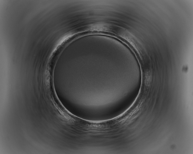 X0000098191115200804241238