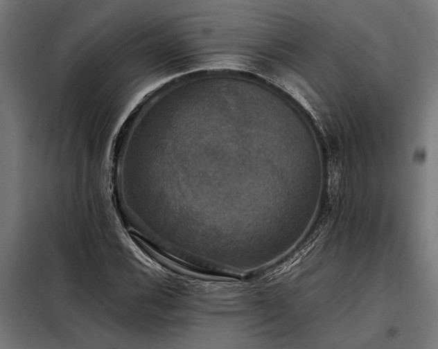X0000098191116200804241238