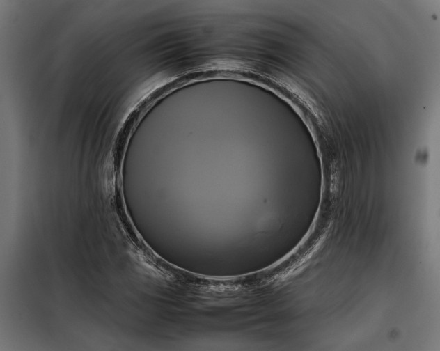 X0000098191117200804241238