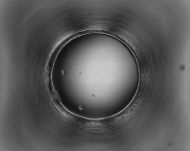 X0000098191119200804241238
