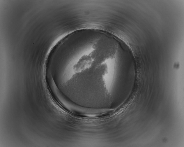 X0000098191120200804241238