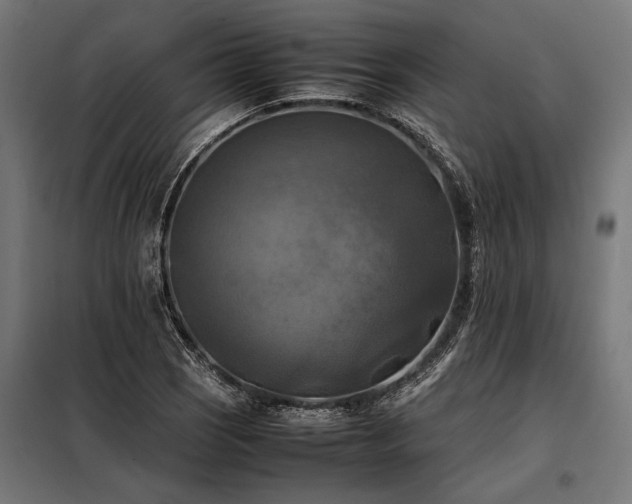 X0000098191121200804241238