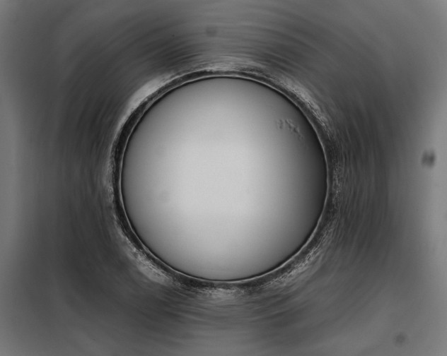 X0000098191122200804241238