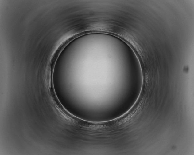 X0000098191123200804241238