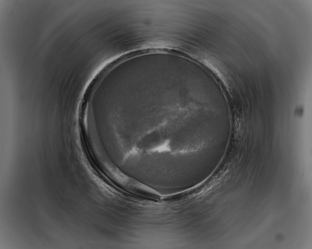 X0000098191124200804241238