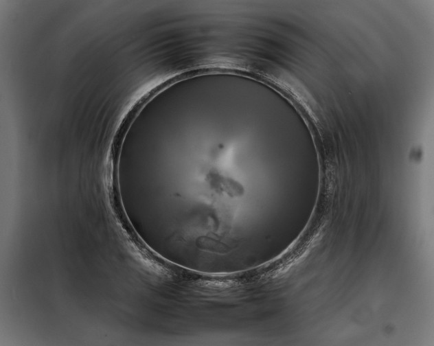 X0000098191125200804241238
