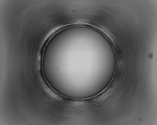 X0000098191126200804241238